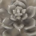 Artificial succulent wax artificial plant with wire 8cm 8pcs | Floristik24.ie
