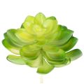 Floristik24 Artificial succulent plant, green, for decoration in a bowl or vase, 10cm, 4 pieces