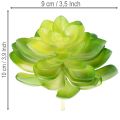 Artificial succulent plant, green, for decoration in a bowl or vase, 10cm, 4 pieces | Floristik24.ie