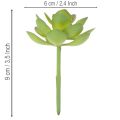 Artificial green succulent plant as decoration for creative arrangements | Floristik24.ie