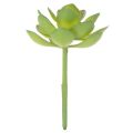 Artificial green succulent plant as decoration for creative arrangements | Floristik24.ie