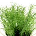 Floristik24 Kitchen herbs in zinc pot artificial 16cm 4pcs