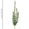 Artificial plant hanging garland succulent decoration living room | Floristik24.ie