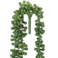 Artificial plant hanging garland succulent decoration living room | Floristik24.ie