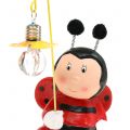 Floristik24 Decorative figure ladybug with light H20cm