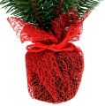 Floristik24 Fir tree 32cm with cones and bag red