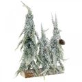 Fir trees with snow, Advent decoration, winter forest L16.5cm H28cm