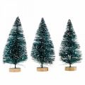 Floristik24 Snow-covered mini fir trees, winter forest, advent decoration H9cm Ø4cm 3pcs