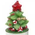 Floristik24 Tea lights Christmas tea light fir tree H6.5cm 6pcs