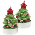 Floristik24 Tea lights Christmas tea light fir tree H6.5cm 6pcs