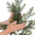 Artificial decorative fir branch for creative floristry, 175cm | Floristik24.ie