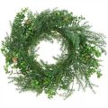 Floristik24 Decorative wreath with coniferous branches, cones and box green 60cm