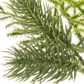 Artificial fir branch for festive decoration, 22cm, 2 pieces | Floristik24.ie