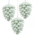 Floristik24 Pine cones decorative cones for hanging white 7cm 6pcs