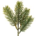 Floristik24 Artificial green fir branch for winter decorations, 25cm, 24 pieces