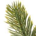 Artificial green fir branch for winter decorations, 25cm, 24 pieces | Floristik24.ie