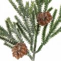 Deco branch larch with cones artificial green frost effect 29cm