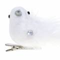 Floristik24 Dove on clip white 14cm 2pcs