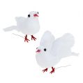 Floristik24 Pigeons 5cm on wire white 8pcs