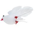Floristik24 Pigeons 5cm on wire white 8pcs
