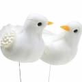 Floristik24 Pigeon pair on wire white 4-4.5cm 6 pairs