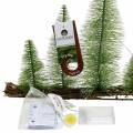 Floristik24 Table decoration winter forest with LED green 100cm 60L
