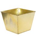 Metal planter with glittering