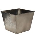 Square metal planter with fir