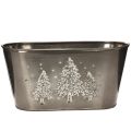 Floristik24 Oval planter with embossed fir tree design, 25cm