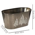 Oval planter with embossed fir tree design, 25cm | Floristik24.ie