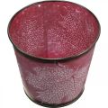 Floristik24 Decorative pot for planting, tin bucket, metal decoration with leaf pattern wine red Ø14cm H12.5cm