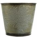 Floristik24 Autumn pot, planter with leaves, golden metal decoration Ø16.5cm H14.5cm