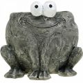 Floristik24 Pot holder frog with smile gray 11x12cm