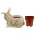 Easter decoration for planting, rabbit and chick, spring, plant pot H24cm L30cm