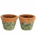 Floristik24 Plant pot planter vintage natural clay Ø14.5cm H12cm 2pcs