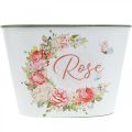 Floristik24 Planter, decorative pot roses, flower bowl L19cm H12.5cm