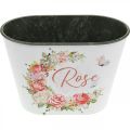 Floristik24 Planter, decorative pot roses, flower bowl L19cm H12.5cm