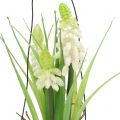 Floristik24 Grape hyacinth white in a glass for hanging H22cm