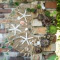Floristik24 Driftwood garland shells starfish decoration maritime 100cm