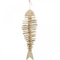 Floristik24 Deco fish driftwood nature, summer decoration for hanging maritime L59cm