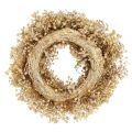 Dried flower wreath bleached decorative wreath cream Ø25cm | Floristik24.ie