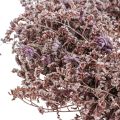 Dried flower wreath sea lavender nature Ø30cm | Floristik24.ie