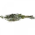 Floristik24 Bouquet of dried flowers eucalyptus bouquet of thistles 45-55cm 100g