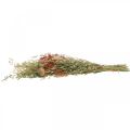 Floristik24 Bouquet of dried flowers cereals and poppies dry decoration 60cm 100g
