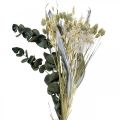 Dried bouquet of thistle eucalyptus dried silver 64cm