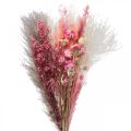 Floristik24 Bouquet of dried flowers pink white phalaris masterwort 80cm 160g