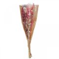 Floristik24 Bouquet of dried flowers pink white phalaris masterwort 80cm 160g