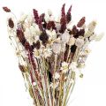 Bouquet of dried flowers summer decoration dried flowers 58cm