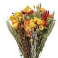 Floristik24 Bouquet of dried flowers Bouquet of meadow flowers Orange H50cm 300g