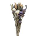 Floristik24 Dried flower bouquet straw flowers beach lilac purple 30cm